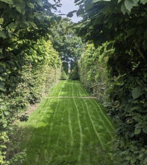 Monty Don Instagram - New sown grass in Long Walk had its first cut this morning