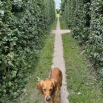 Monty Don
