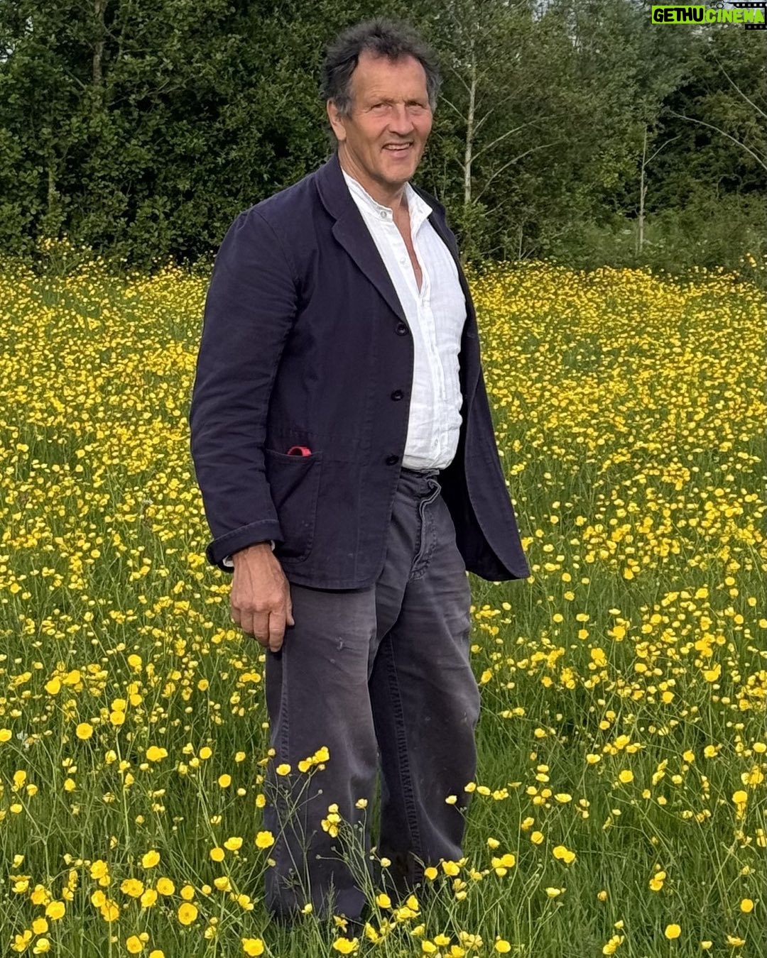 Monty Don - 31.6K Likes - The perfect antidote to the intensity of Chelsea
