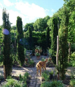 Monty Don Instagram - Standing at the crossroads