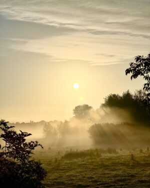 Monty Don Instagram - Morning