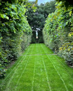 Monty Don Instagram - The Long Walk lawn- sown on 15th May - and now, if not yet an immaculate sward, serviceable .