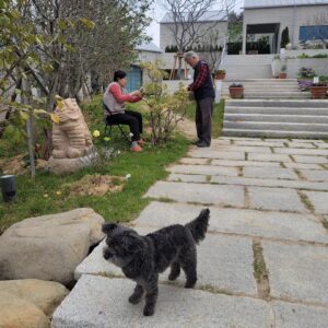 Moon Jae-in Instagram - 안녕 토리.