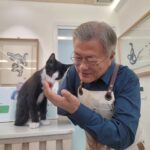 Moon Jae-in
