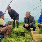 Moon Jae-in