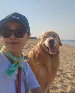 Moon Jeong-hee Instagram - #마누 #manu #바닷가 #멍때림 #바라만본다 #입수금지 #목이아파 #음성제한 #고음금지

조용히 오가는 작은 파도를
보고있으니....
세상의 모든 것들도 그렇게 
오고가는 섭리안에 있다는...
심플한 팩트를 새삼 되뇌인다.

우리마누는 늘 귀엽다!
@manu_goldenretriever