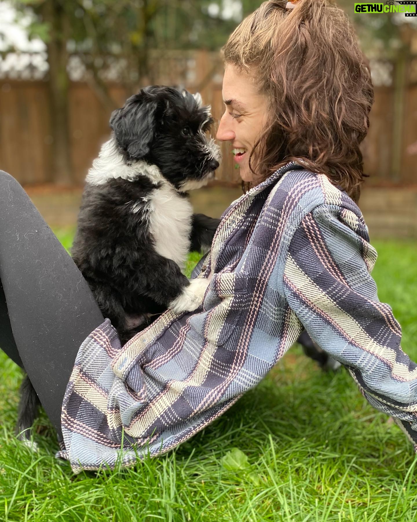 Morgan Taylor Campbell - 2.2K Likes - frolicking in fluff
#HeartlandSheepadoodles
#puppylove
#vancouver