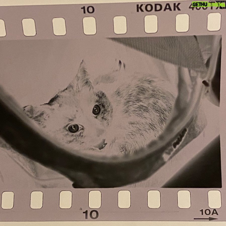 Morgan Taylor Campbell - 313 Likes - Developed our first roll! Off to the print shop. 🖤&🤍