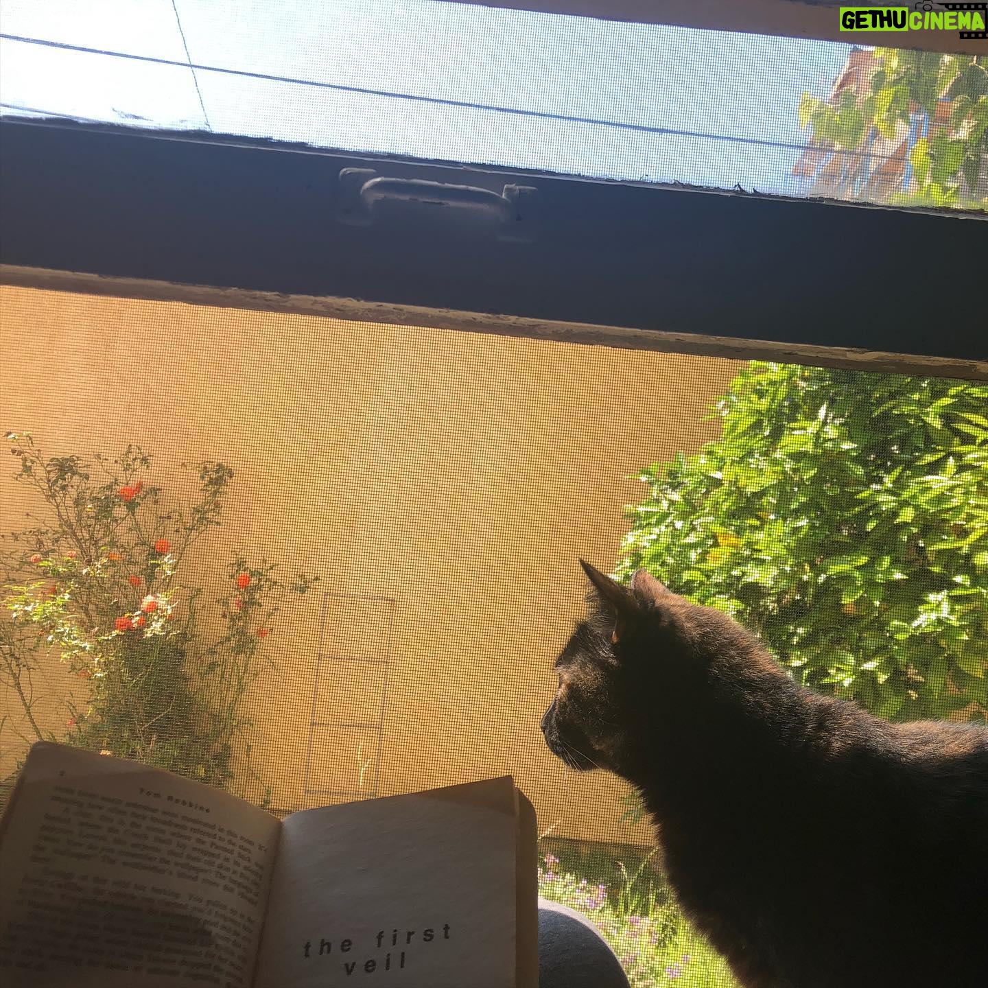 Morgan Taylor Campbell - 333 Likes - A room with a view