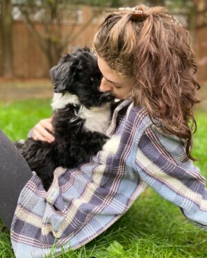 Morgan Taylor Campbell Instagram - frolicking in fluff
#HeartlandSheepadoodles
#puppylove
#vancouver