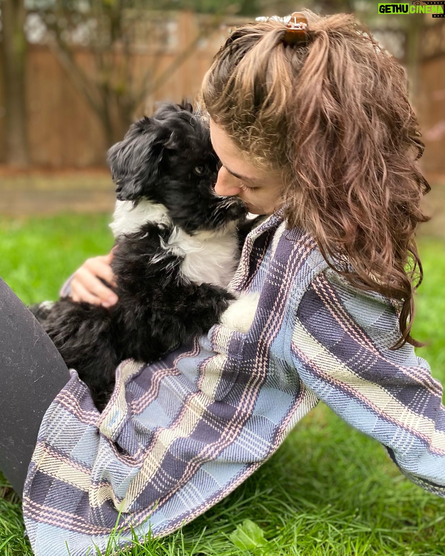 Morgan Taylor Campbell - 2.2K Likes - frolicking in fluff
#HeartlandSheepadoodles
#puppylove
#vancouver