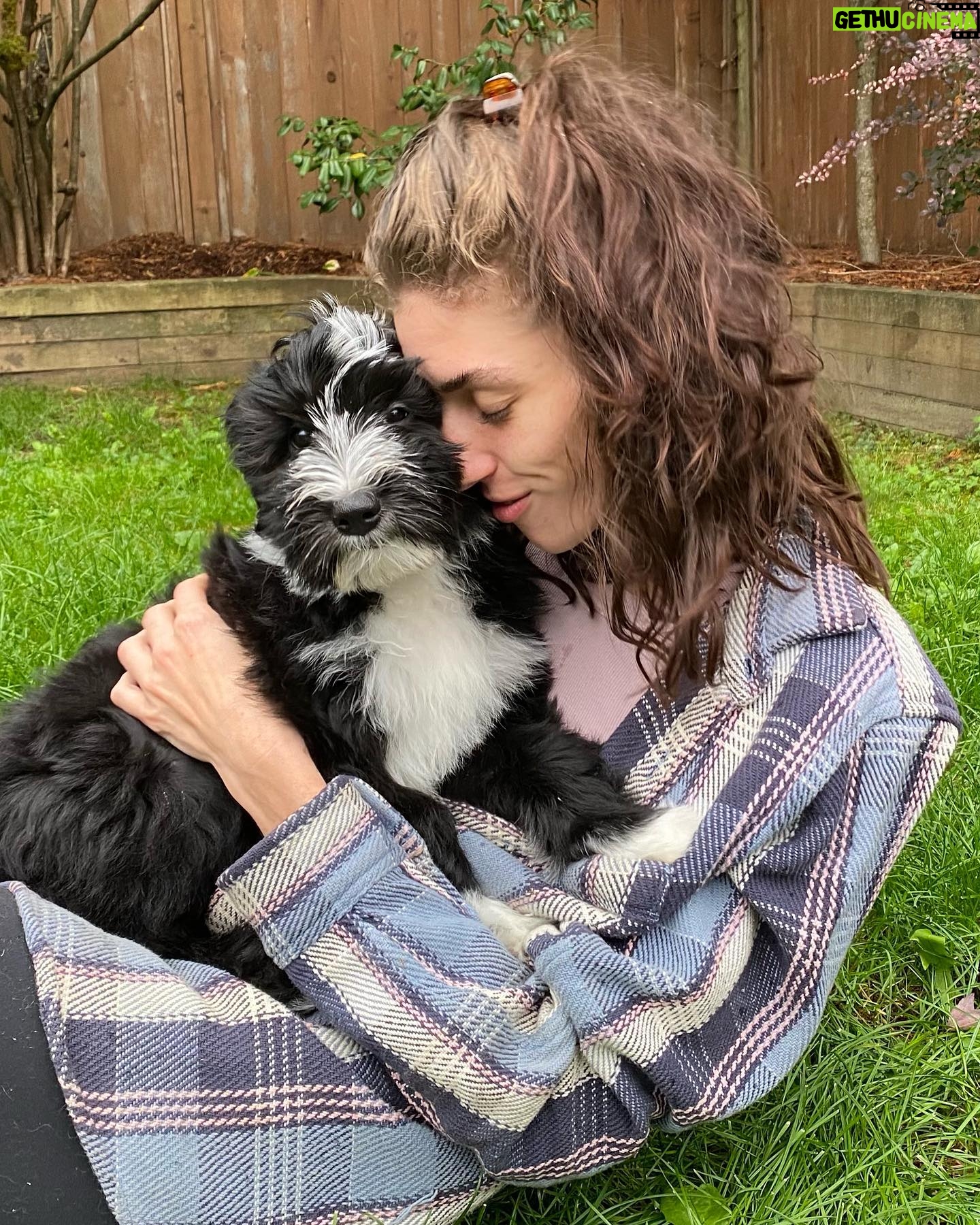 Morgan Taylor Campbell - 2.2K Likes - frolicking in fluff
#HeartlandSheepadoodles
#puppylove
#vancouver