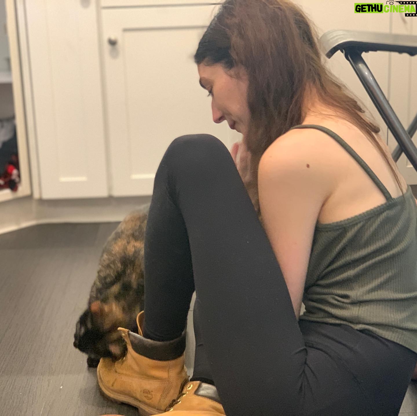 Morgan Taylor Campbell - 1.1K Likes - We went out to return some jeans, then love did what love does... #AlleytheCat @pierceybits