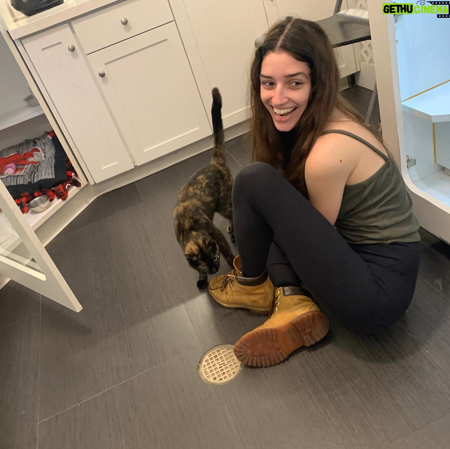 Morgan Taylor Campbell - 1.1K Likes - We went out to return some jeans, then love did what love does... #AlleytheCat @pierceybits
