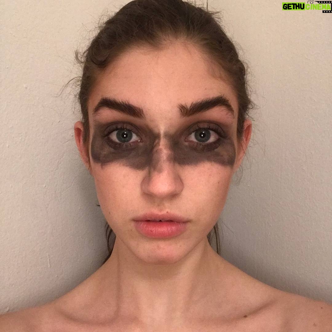 Morgan Taylor Campbell - 426 Likes - Rocky Raccoon