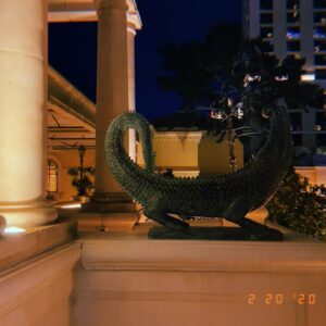 Morgan Turner Instagram - woah! chill out brother #ZestvilleTakesVegas #VIBING #ilovemywife #thehangoverpart4 #anewhope #thegrandpatio