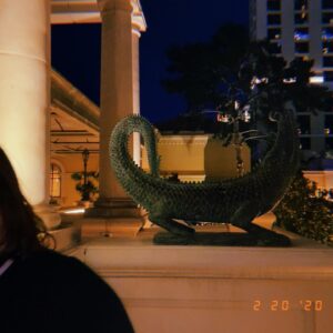 Morgan Turner Instagram - woah! chill out brother #ZestvilleTakesVegas #VIBING #ilovemywife #thehangoverpart4 #anewhope #thegrandpatio
