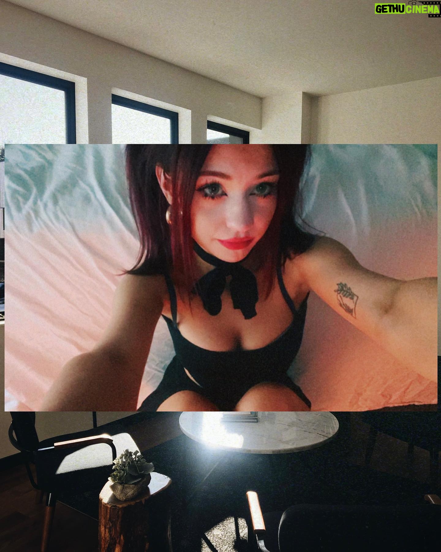 Moriah Brooklyn - 1.7K Likes - 𓉸 devouring, delicately