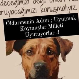 Müjde Ar Instagram - 