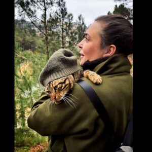 Münire Apaydın Instagram - 🍃🤎

#catsofistanbul #february #cat #istanbul