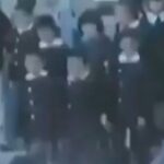 Murat Arkın