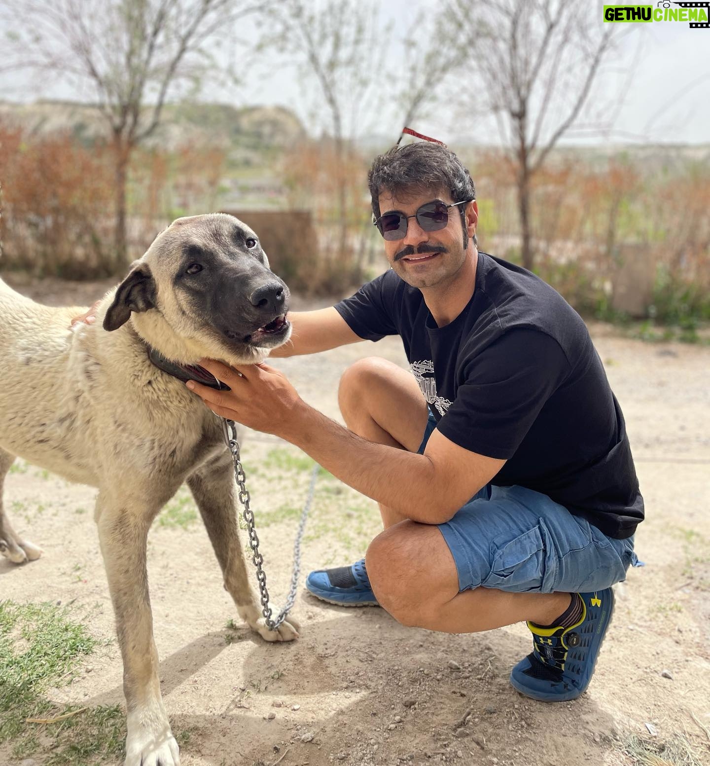 Murat Ünalmış - 55.9K Likes - Bella 1 yaşına yaklaştı. Geçen yaz bana geldiğinde minik ve çok tatlıydı güzel kızım..❤️
@cappadociahorseriding @daltonbrothershorseranch @ahmetemirhanoglu
📸 @bulentpolatofficial