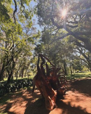 Murilo Dias Instagram - Domingo leve 🏃🏾‍♂️🍃☀️ #felizpáscoa