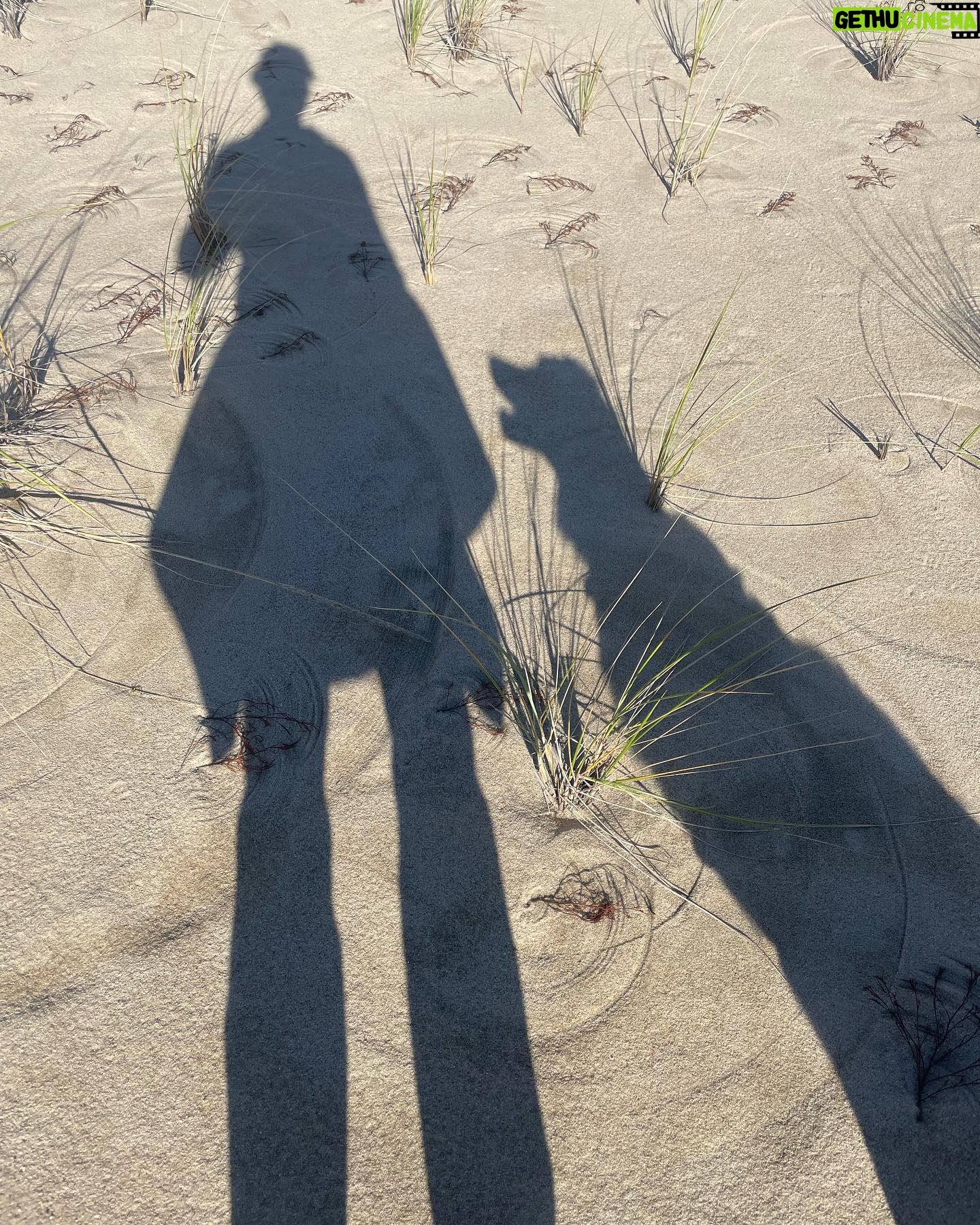Murray Bartlett - 12.4K Likes - Afternoon walk with my Good Boy
