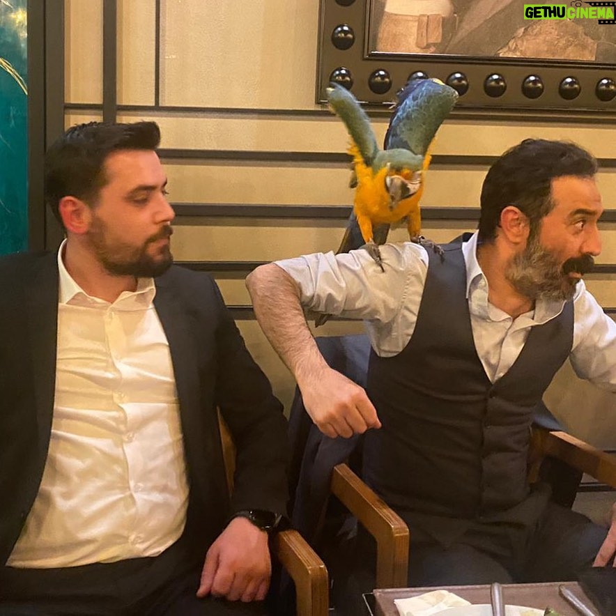 Mustafa Üstündağ - 6.3K Likes - Kedi ya da köpek olsa daha samimi olabilirdim, kuş olunca bilemedik.
@emrah_ayirma_
