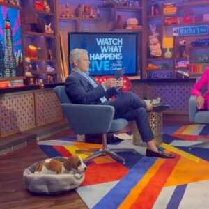 Mzi "Zee" Dempers Instagram - Surreal experience this past week, hopping onto the @bravowwhl with @bravoandy & @tumimhlongo. So much fun, and what a start to the beginning of a new month.

Happy Friday to everybody, and Happy Women’s Month to the people back at home. May we continue to strive for change and do better where we can.

#belowdeck#belowdeckmed#watchwhathappenslive#bravotv#bravoclubhouse#womensmonth