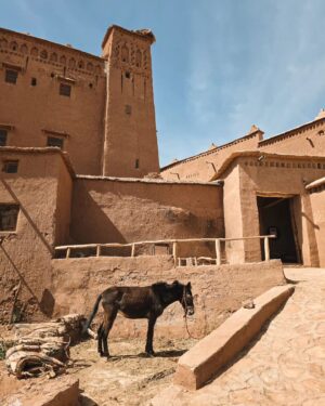 Naglis Bierancas Instagram - Ait Ben Haddou miestelis-tvirtovė saugoma Unesco. Labai unikali bei autentiška vieta. Dabar aišku, kodėl daug puikių filmų buvo čia filmuojami. Girdėjom, kad dar yra šeimų, kurios vis dar gyvena čia. Labai patiko 👍🏻 #morroco #aitbenhaddou
