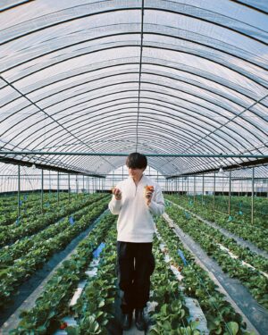 Nakhun Screaigh Instagram - 人生初のいちご狩り🍓

26個食べた。最高だった。