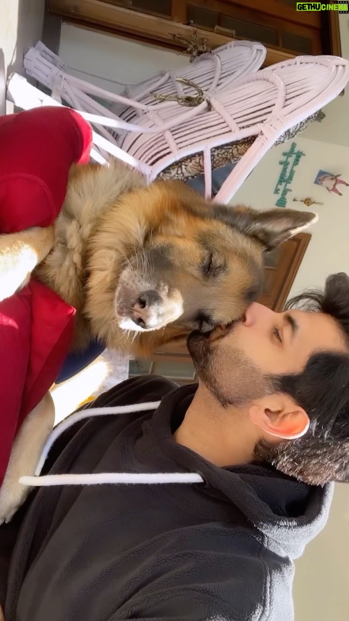 Namik Paul - 15.8K Likes - A week ago, my best friend went away. And so did a piece of my happiness, which was all his own. Because that’s what he was for me. And as sad as I am, and as much as I wish he’d stayed longer and that I got more time with him, I will always be thankful for the time I did get with him. He was my favouritist thing in the world, and I was one of his. And that’s an honour I’ll keep very close to my heart for the rest of my life. There were never any goodbyes between us, and this isn’t one either. Till we meet again, my friend.