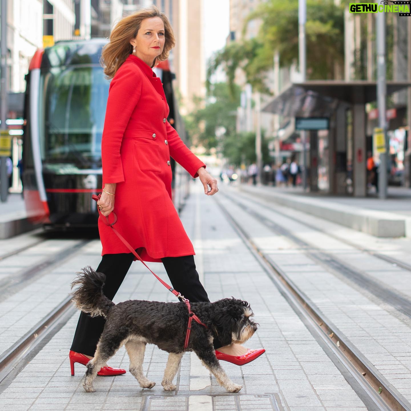 Naomi Simson - 149 Likes - Jack! Mr Head of Intelligence ☺️ 🐶 #sydney #workdogs