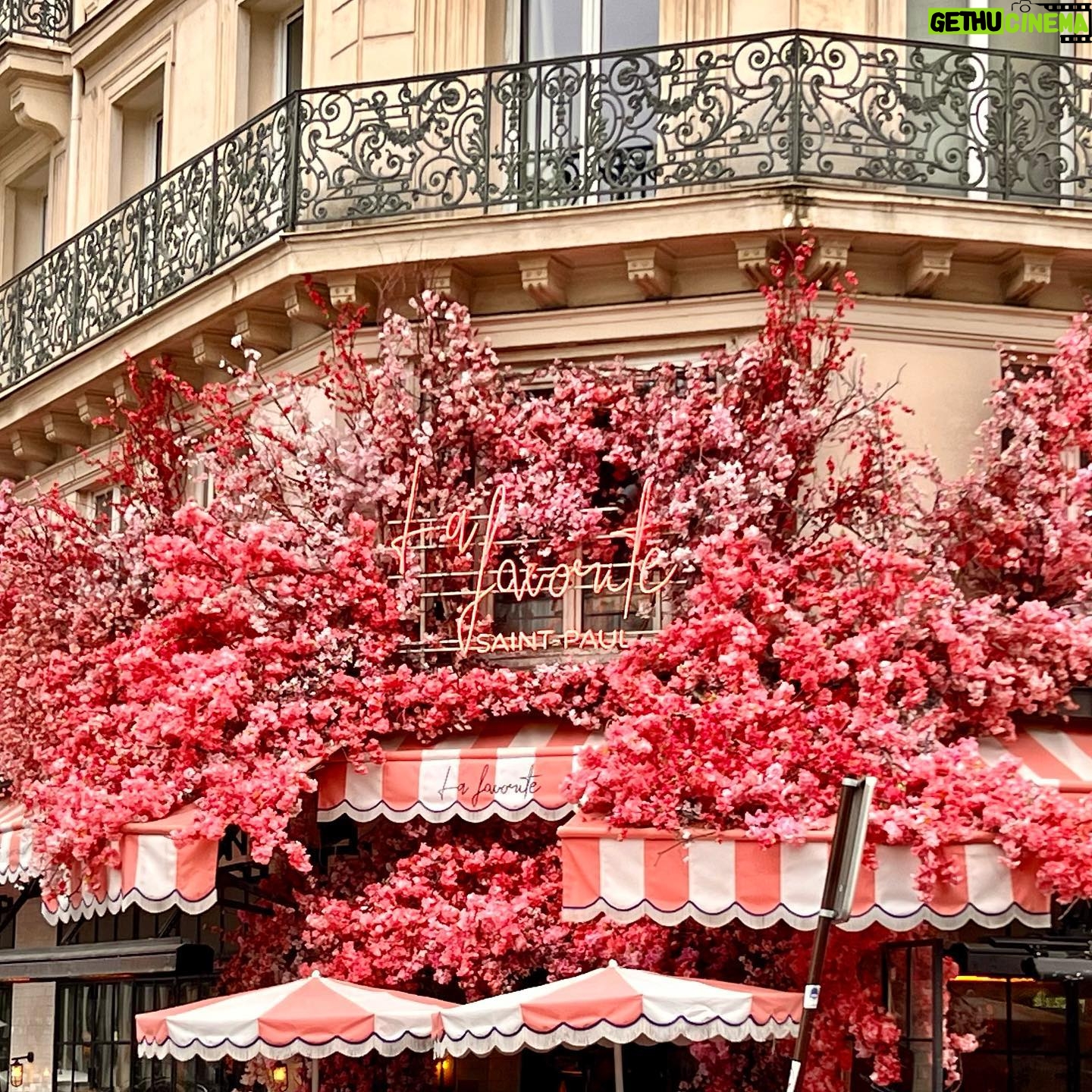 Naomi Simson - 114 Likes - A day of experiencing #paris by bike! 🇫🇷