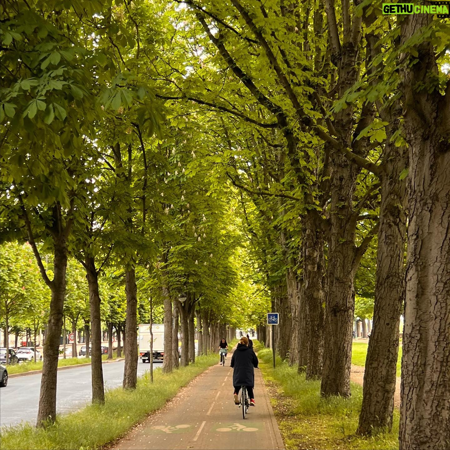 Naomi Simson - 114 Likes - A day of experiencing #paris by bike! 🇫🇷