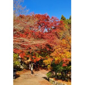 Naomi Zaizen Instagram - 🍙
先日の両子寺
紅葉🍁がキレイで癒されました😊
受付のお姉さんとも📷️✨
🍙
#両子寺 #紅葉 #🍁 #キレイ #癒し #大分県 #杵築 #財前直見 #🍙