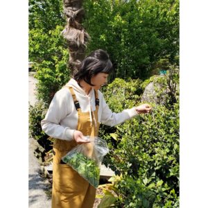 Naomi Zaizen Instagram - 🍙
今日は八十八夜！
昨日、杵築の田舎で収穫の後に茶摘み🤗
こんなところにもお茶の新芽が🌱
これでお茶できるかな？
じいじに、それくらいじゃ…と笑われた😄
🍙
#八十八夜 #茶摘み #新芽🌱 #大分県 #杵築 #田舎 #直見工房 #財前直見 #🍙