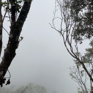 Nas-T Instagram - We survived Gunung Kinabalu ! it was the best and also the worst experience in my life hahah..we had to climb 6km up under bad weather..8 hours of climb with non stop heavy rain.Tempreture was 6c and all of our clothes and bags were soaked wet

But worth all the effort 🔥 Its a wrap for Legasi Wira Merah 👨‍🚒 #LegasiWiraMerah #BombaTheMovie