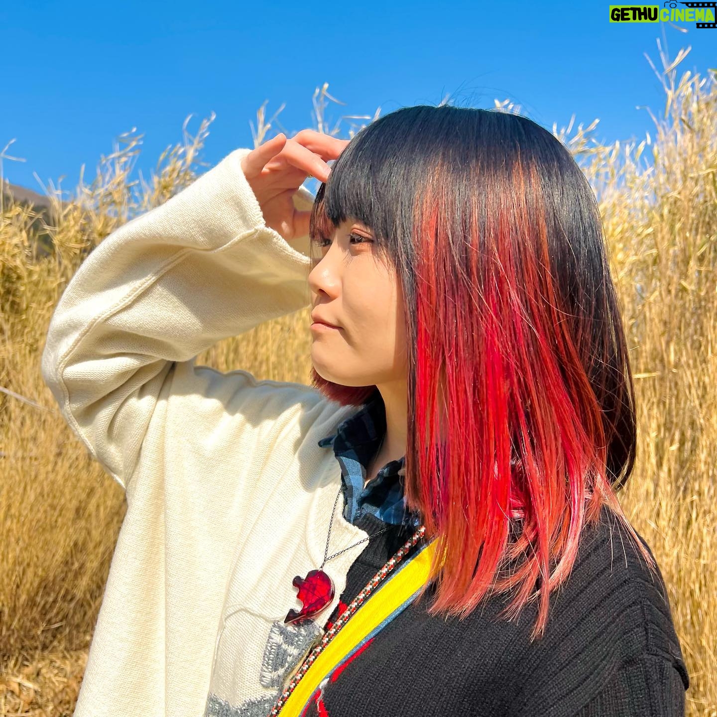 Nasuo - 1.8K Likes - なすお☆東京フリーライブまで
あと【 9日 】🎉🎉🎉
📍11月12日(日)
📍亀戸@カメイドクロック
1Fカメクロステージ
📍①12:30~ ②15:30~
⭐️全ステージ観覧無料!
⭐️来てくれたら誰でも見れるよ!
⭐️CD購入で一緒に写真も撮れます!
今年もみんなに会える日が限られてきた。
1回1回いっぱい大切にしよう。
たくさんの方に会えますように🍆