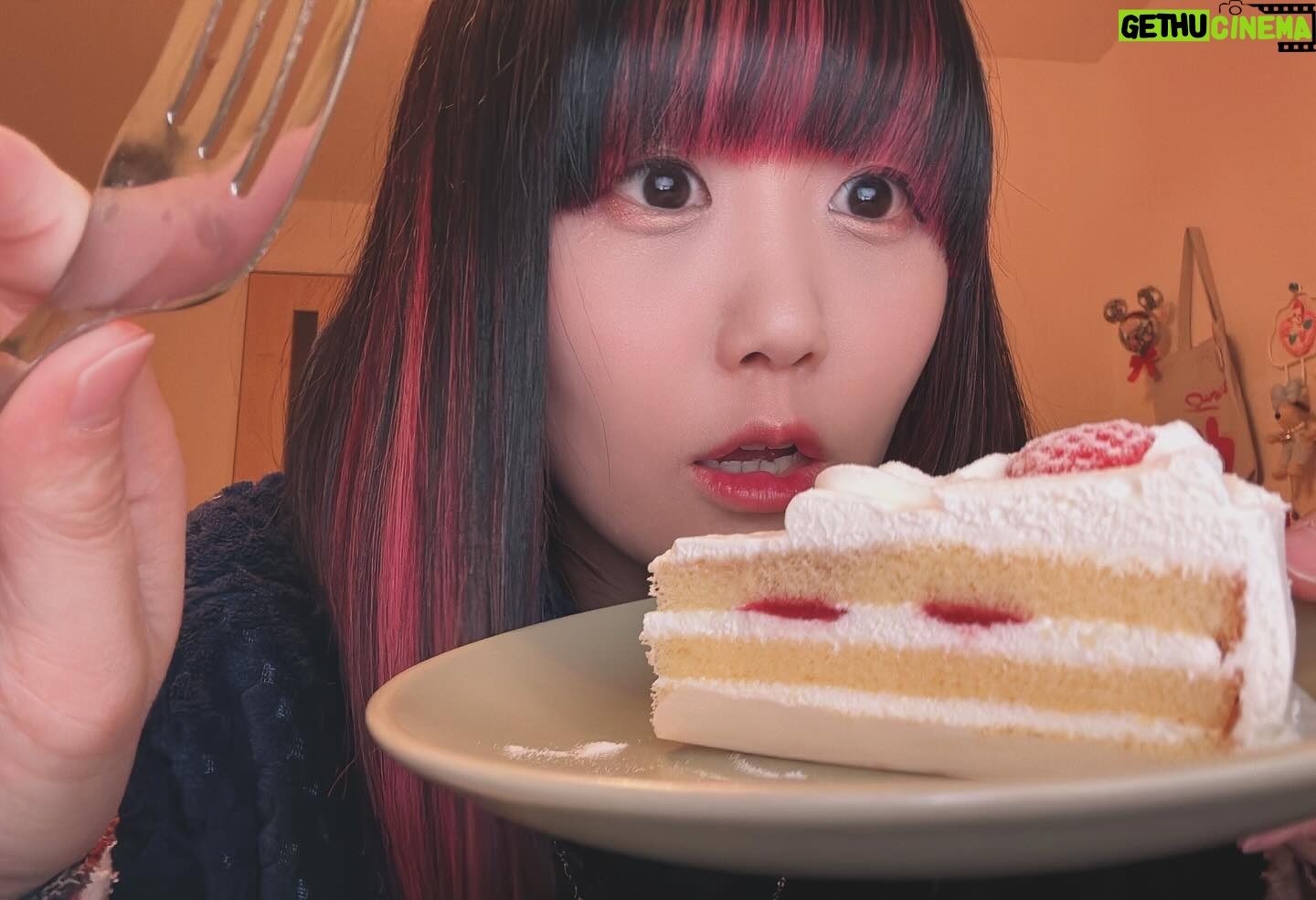 Nasuo - 1.7K Likes - もう毎日祝日でいいよね?🍰