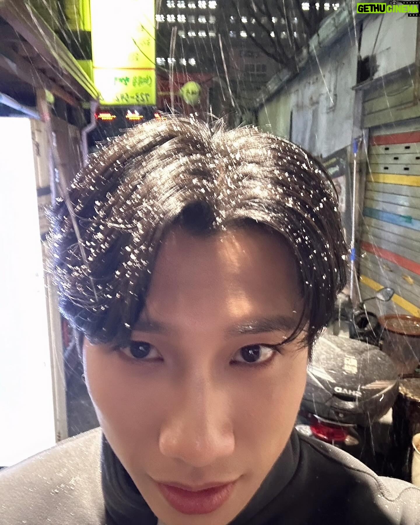 Nat Chen - 24.3K Likes - 柏生初雪❄️