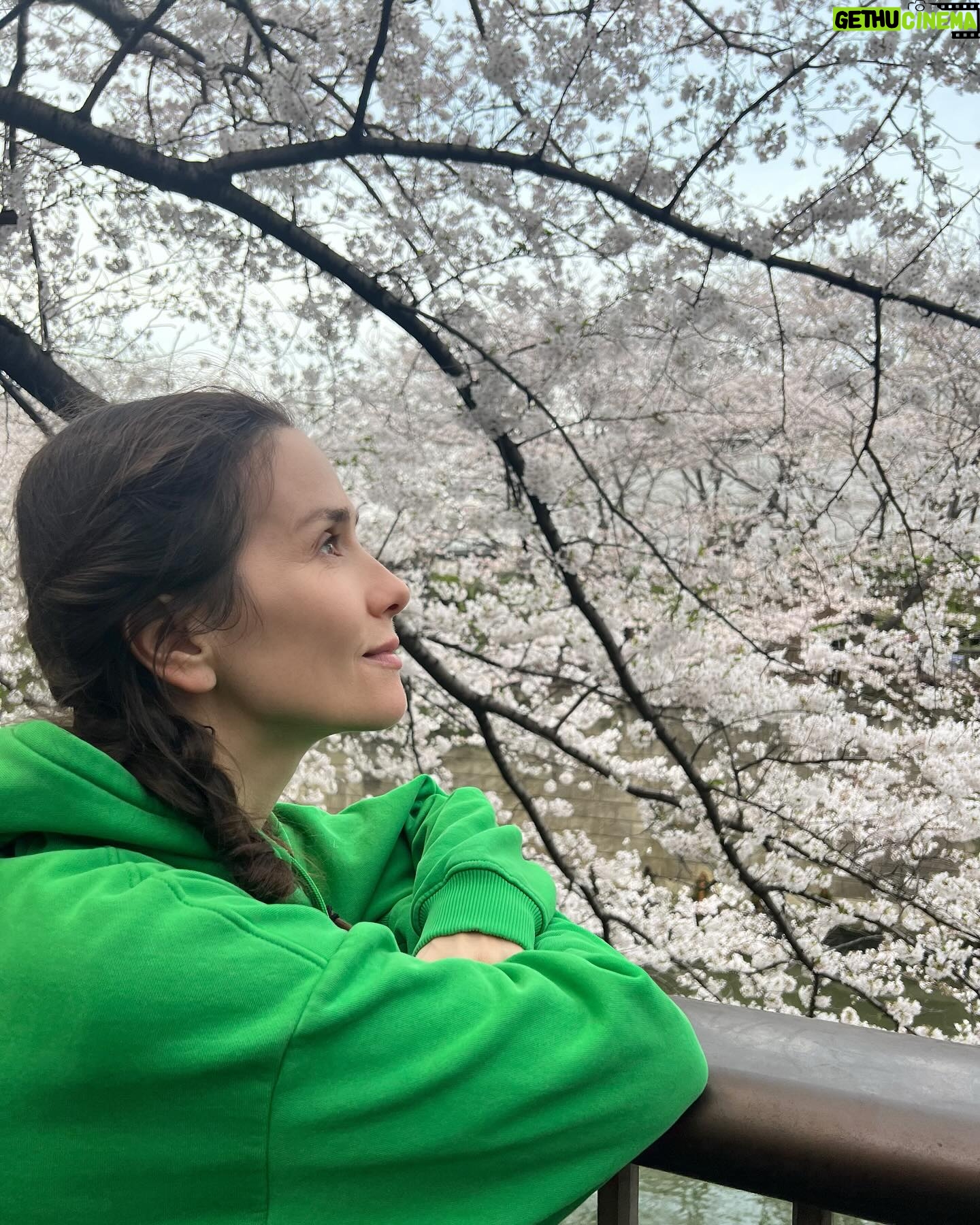 Natalia Oreiro - 122K Likes -
Que es lo que más recordás de los viajes?
A priori pensaría que "eso" que deseé tanto conocer: una cultura, un paisaje.
Siempre me gustó viajar y conocer jardines y arquitecturas diferentes.
Pero lo que finalmente queda en mí, es su gente.
Viajar a Japón, era mi sueño.
La fascinación que sus jardines producía en mi, era inmensa.
Conocerlo en primavera, con sus sakuras 🌸era mi gran desafío, difícil, ya que están en flor menos de una semana al año, y dependiendo del clima la fecha varía mucho.
Dormir en un Ryokan, viajar en tren a las montañas, caminar pueblos antiguos, sumergirme en su filosofía de vida, momentos mágicos.
Descubrí un país increíble, pero lo más hermoso es, sin dudas, su gente, tan amable, educada y sonriente.
Me impactó.
Capítulo aparte.
En uno de los tantos trenes que tomé, olvidé mi teléfono en un vagón y gracias a la organización que tienen y su extrema amabilidad logré recuperarlo.
Pero hubo alguien especial, que hablaba japonés pero es inglesa.
Gracias @janelunzer por ser un ángel, por contenerme y ayudarme.
La empatía no conoce fronteras.
Aventuras y personas que llevaré siempre en mi ♥️
