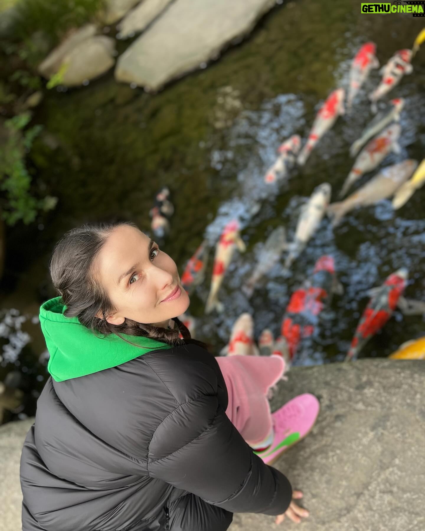 Natalia Oreiro - 122K Likes -
Que es lo que más recordás de los viajes?
A priori pensaría que "eso" que deseé tanto conocer: una cultura, un paisaje.
Siempre me gustó viajar y conocer jardines y arquitecturas diferentes.
Pero lo que finalmente queda en mí, es su gente.
Viajar a Japón, era mi sueño.
La fascinación que sus jardines producía en mi, era inmensa.
Conocerlo en primavera, con sus sakuras 🌸era mi gran desafío, difícil, ya que están en flor menos de una semana al año, y dependiendo del clima la fecha varía mucho.
Dormir en un Ryokan, viajar en tren a las montañas, caminar pueblos antiguos, sumergirme en su filosofía de vida, momentos mágicos.
Descubrí un país increíble, pero lo más hermoso es, sin dudas, su gente, tan amable, educada y sonriente.
Me impactó.
Capítulo aparte.
En uno de los tantos trenes que tomé, olvidé mi teléfono en un vagón y gracias a la organización que tienen y su extrema amabilidad logré recuperarlo.
Pero hubo alguien especial, que hablaba japonés pero es inglesa.
Gracias @janelunzer por ser un ángel, por contenerme y ayudarme.
La empatía no conoce fronteras.
Aventuras y personas que llevaré siempre en mi ♥️