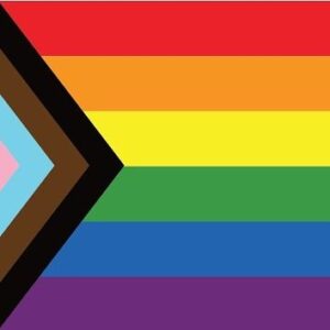 Natalie Gumede Instagram - Traditional celebrations may be, but Pride is NOT cancelled! 🎉🎉🎉 Love the updated flag, you can read more about the inspiration behind the redesign by @danielquasar at https://www.them.us/story/pride-flag-redesign. ❤️🧡💛💚💙💜🖤🤎💙💓🤍 #representationmatters #equalrightsforall #lgbtq🌈 #lgbtqiaplus