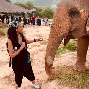 Natalie Gumede Instagram - These beautiful dear creatures are living out the autumn of their lives at the Samui Ethical Elephant Sanctuary. The tales of abuse that they had all suffered were utterly harrowing, and yet these elephants had slowly learned to trust humans again to allow us to feed them and witness them in a (semi) natural habitat. I was struck by a sense of kindness and compassion in their eyes, and one of the carers told us that the elephants see us humans as ‘cute - like puppies.’ There wasn’t one visitor left unmoved by their presence, or their stories, and I wondered what impact that may leave in consideration of how we treat our incredible animal kingdom as a whole. We have so much to learn from every being that walks this earth, so this New Year and every one beyond, I hope to walk with more kindness and compassion. The world needs that now more than ever - let’s be more elephant. (I love cucumbers like they do so that’s a good start!) Happy New Decade everyone ❤️🐘❤️🐘❤️🐘 #samuielephantsanctuary #kohsmaui #thailand #travel #travelphotography #elephant #elephantsanctuary #wildlifephotography #vegan #vegantravel #vegantravels #solotravel #happy2020 #newdecade #elephants