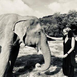 Natalie Gumede Instagram - These beautiful dear creatures are living out the autumn of their lives at the Samui Ethical Elephant Sanctuary. The tales of abuse that they had all suffered were utterly harrowing, and yet these elephants had slowly learned to trust humans again to allow us to feed them and witness them in a (semi) natural habitat. I was struck by a sense of kindness and compassion in their eyes, and one of the carers told us that the elephants see us humans as ‘cute - like puppies.’ There wasn’t one visitor left unmoved by their presence, or their stories, and I wondered what impact that may leave in consideration of how we treat our incredible animal kingdom as a whole. We have so much to learn from every being that walks this earth, so this New Year and every one beyond, I hope to walk with more kindness and compassion. The world needs that now more than ever - let’s be more elephant. (I love cucumbers like they do so that’s a good start!) Happy New Decade everyone ❤️🐘❤️🐘❤️🐘 #samuielephantsanctuary #kohsmaui #thailand #travel #travelphotography #elephant #elephantsanctuary #wildlifephotography #vegan #vegantravel #vegantravels #solotravel #happy2020 #newdecade #elephants