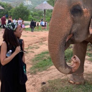 Natalie Gumede Instagram - These beautiful dear creatures are living out the autumn of their lives at the Samui Ethical Elephant Sanctuary. The tales of abuse that they had all suffered were utterly harrowing, and yet these elephants had slowly learned to trust humans again to allow us to feed them and witness them in a (semi) natural habitat. I was struck by a sense of kindness and compassion in their eyes, and one of the carers told us that the elephants see us humans as ‘cute - like puppies.’ There wasn’t one visitor left unmoved by their presence, or their stories, and I wondered what impact that may leave in consideration of how we treat our incredible animal kingdom as a whole. We have so much to learn from every being that walks this earth, so this New Year and every one beyond, I hope to walk with more kindness and compassion. The world needs that now more than ever - let’s be more elephant. (I love cucumbers like they do so that’s a good start!) Happy New Decade everyone ❤️🐘❤️🐘❤️🐘 #samuielephantsanctuary #kohsmaui #thailand #travel #travelphotography #elephant #elephantsanctuary #wildlifephotography #vegan #vegantravel #vegantravels #solotravel #happy2020 #newdecade #elephants