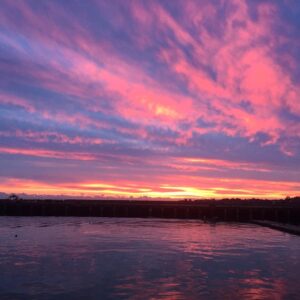 Natalie Gumede Instagram - Early mornings and long days on a TV set are made MUCH easier with views like this 😍#sunrise #onlocation #dunlaoghaire #dunlaoghaireharbour #dublin #setlife #actor #actorslife #rig45 #rig45s2 #moparmedia #subotica #viaplay #ireland #tvseries #scandi #seaview