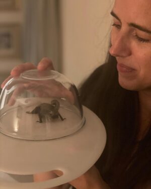 Natalie Holt Instagram - A bat (maybe it was a girl bat?) came into my room. Is it a sign?… I chose to release it into the world though! 🦇